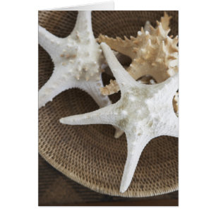Starfish in einem Korb