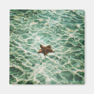 Starfish Island Magnet