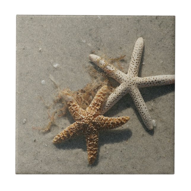 Starfish Keramik Tile Trivet Fliese (Vorderseite)