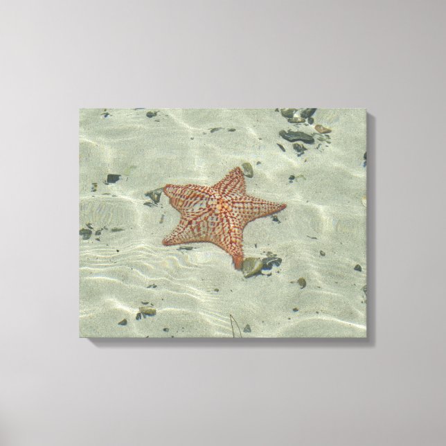 Starfish Leinwanddruck (Vorderseite)