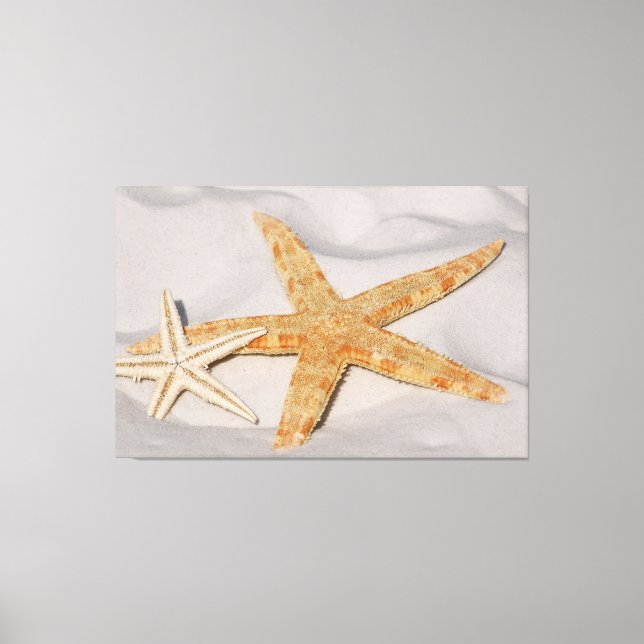 Starfish Leinwanddruck (Vorderseite)