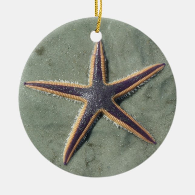 Starfish Lila Seestern am Strand Keramikornament (Vorne)