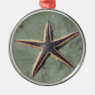 Starfish Lila Seestern am Strand Ornament Aus Metall