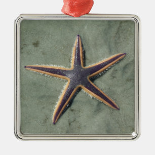Starfish Lila Seestern am Strand Ornament Aus Metall