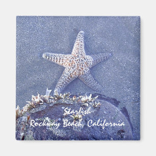 Starfish Magnet