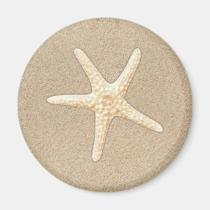 Starfish Magnet