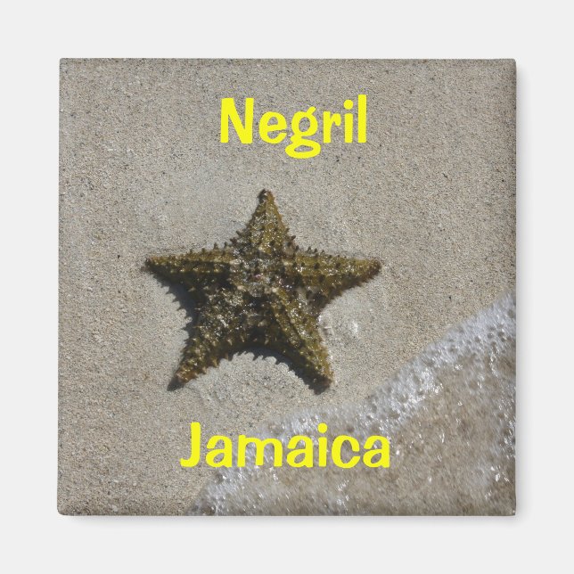 Starfish Magnet (Vorne)