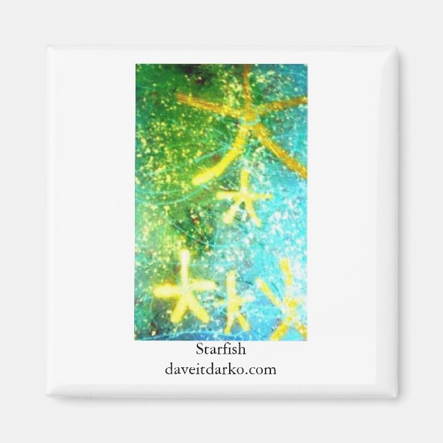 Starfish Magnet (Vorne)