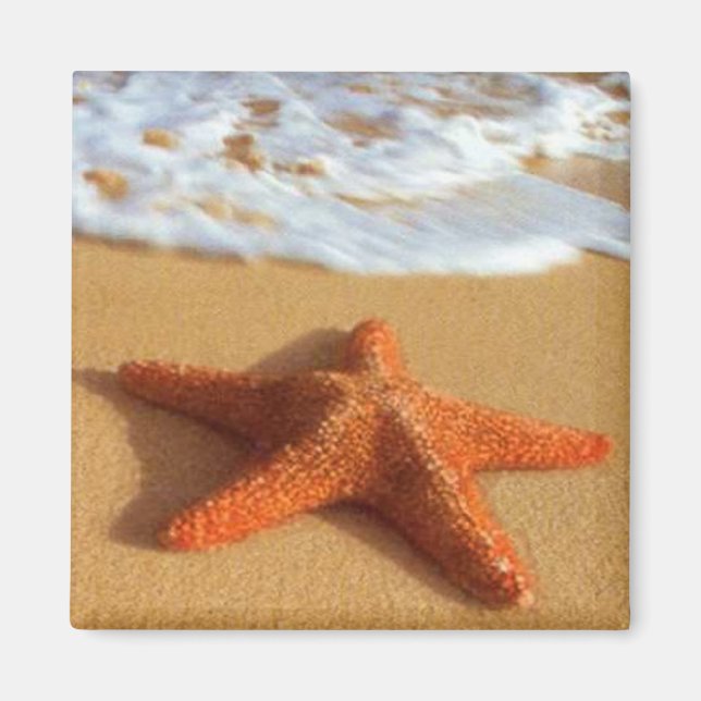 Starfish Magnet (Vorne)