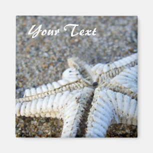 Starfish Magnet