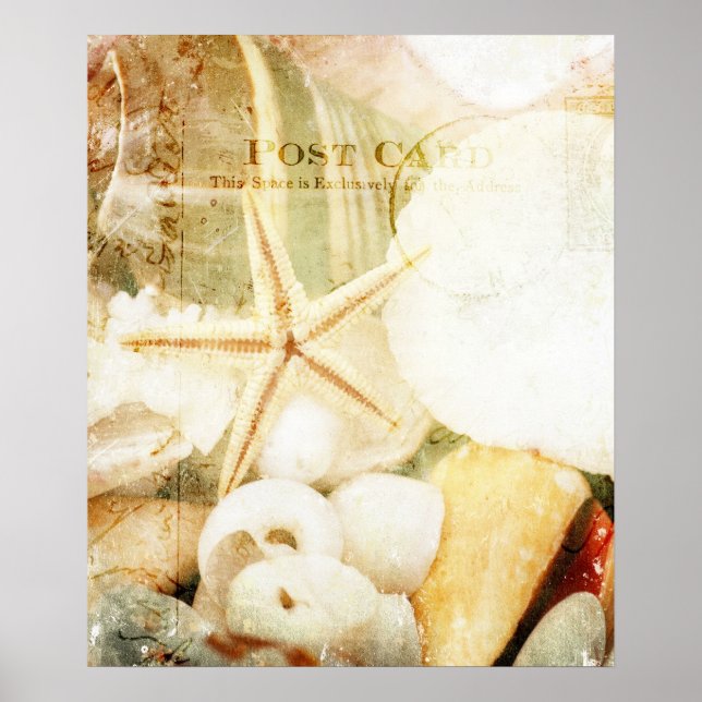 Starfish markiert poster (Vorne)