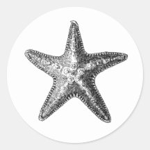 "STARFISH" MEERESWELT UMSCHLAG AUFKLEBER STICKER
