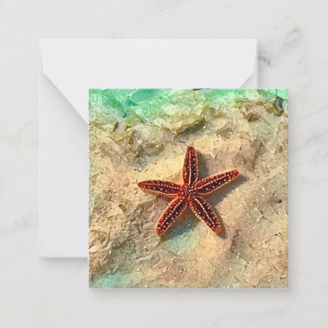 Starfish Mini notecard Set Mitteilungskarte (Vorderseite)