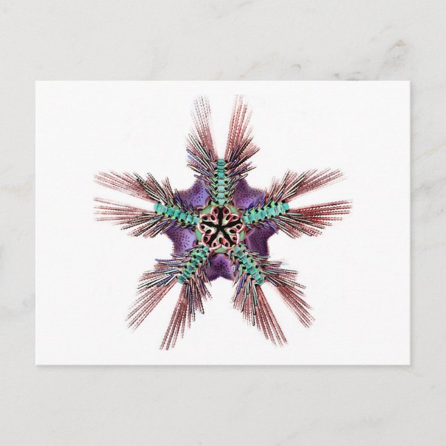 Starfish mit Featherwaffen Postkarte (Vorderseite)