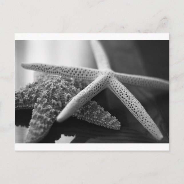 Starfish Mono Postkarte (Vorderseite)