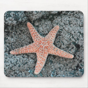 Starfish Mousepad