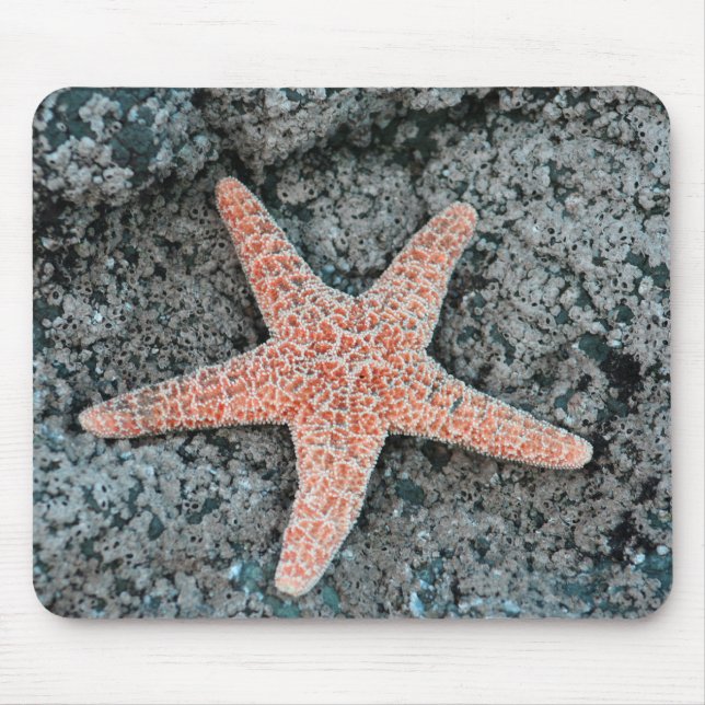 Starfish Mousepad (Vorne)