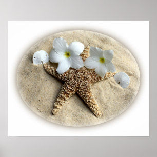 Starfish Muscheln Plumeria auf Sand Poster