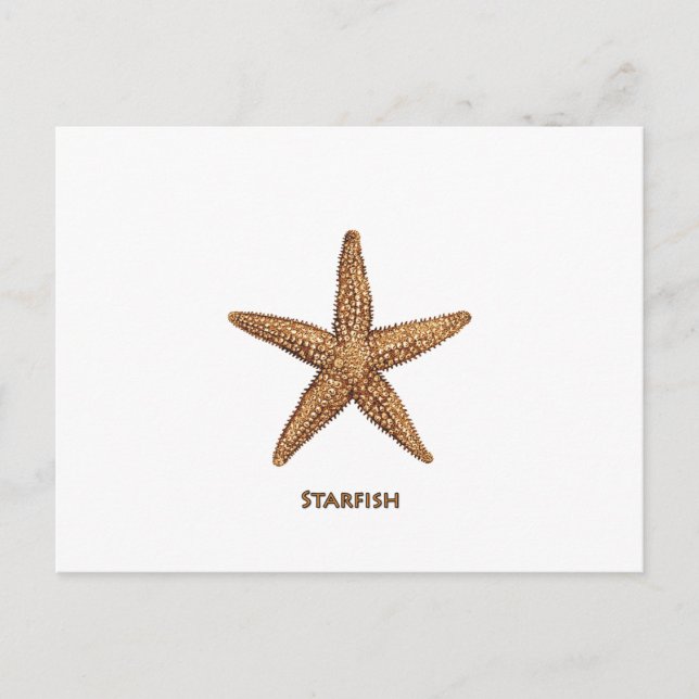 Starfish - Nordseestern Postkarte (Vorderseite)