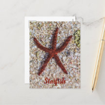 Starfish Ocean Vintag Beach Retro Souvenir