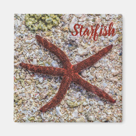 Starfish Ocean Vintag Beach Retro Souvenir Magnet