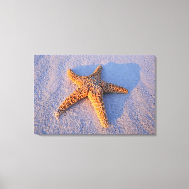 Starfish On White Sand Leinwanddruck (Vorderseite)