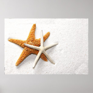 Starfish Poster