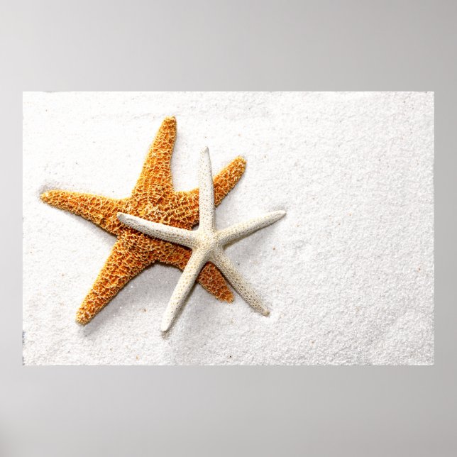 Starfish Poster (Vorne)