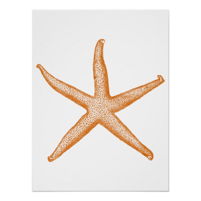 Starfish Poster (Vorderseite)