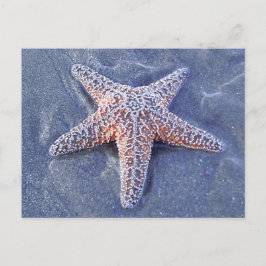 Starfish Postkarte