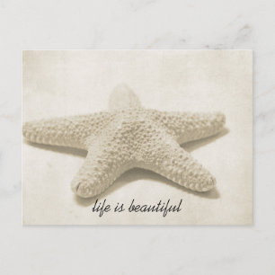 Starfish Postkarte