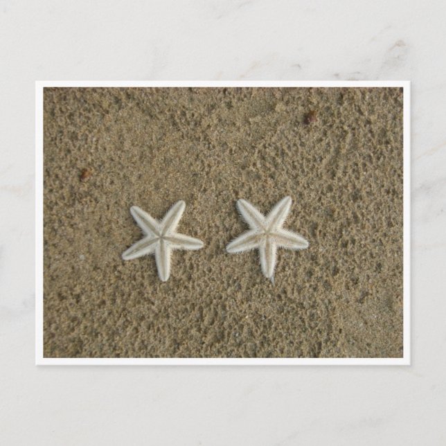 STARFISH POSTKARTE (Vorderseite)