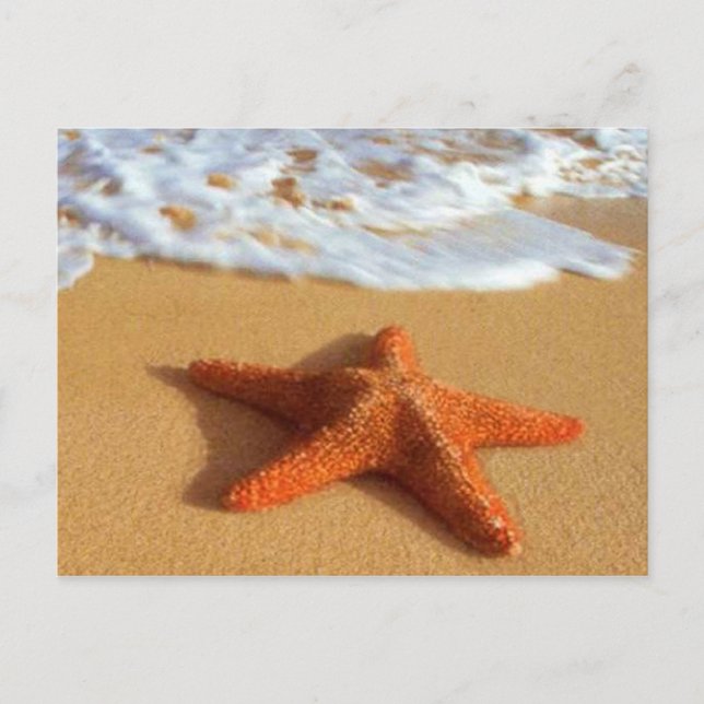Starfish Postkarte (Vorderseite)