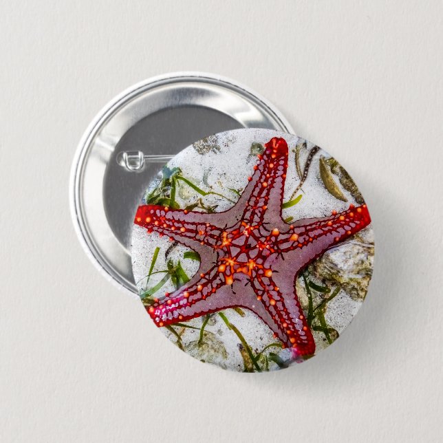 Starfish, Sansibar, Tansania Button (Vorne & Hinten)