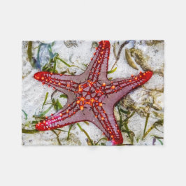 Starfish, Sansibar, Tansania Fleecedecke