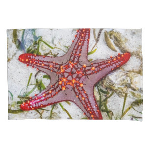 Starfish, Sansibar, Tansania Kissenbezug