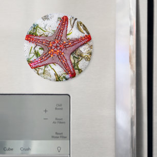 Starfish, Sansibar, Tansania Magnet