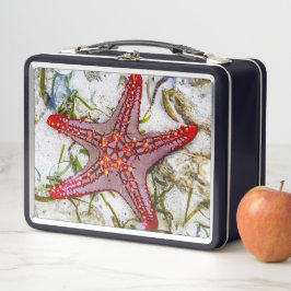 Starfish, Sansibar, Tansania Metall Brotdose