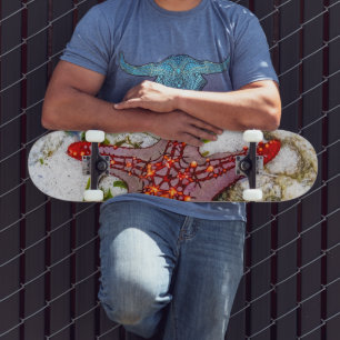 Starfish, Sansibar, Tansania Skateboard