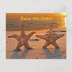 Starfish Save the Date Ankündigungspostkarte