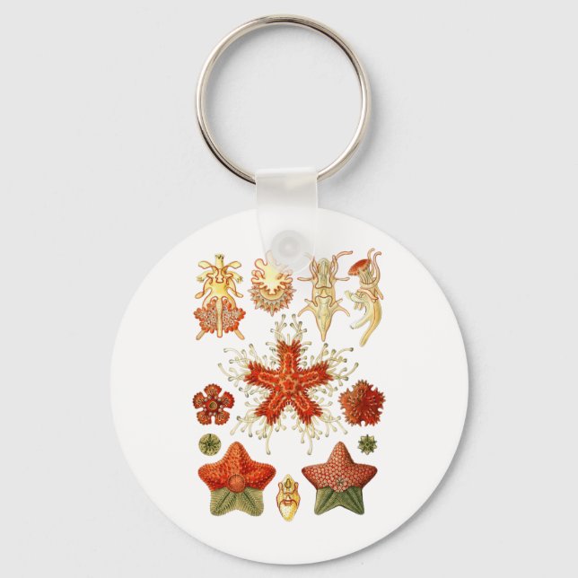 Starfish Schlüsselanhänger (Vorderseite)