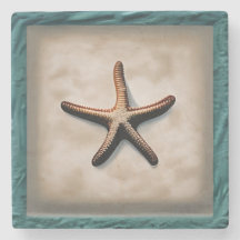 Starfish Sea Life Beach Art Deco