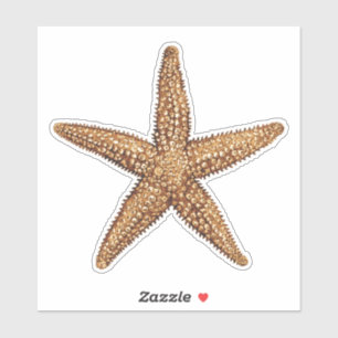 Starfish - Sea Star Aufkleber
