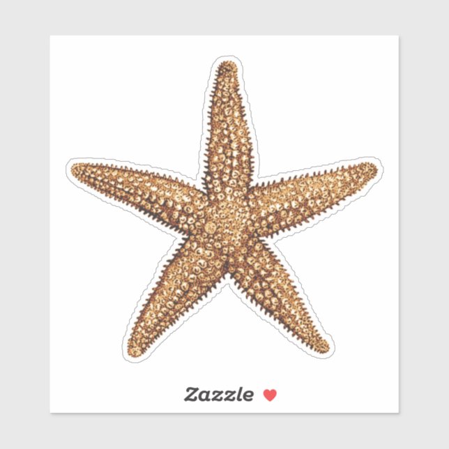 Starfish - Sea Star Aufkleber (Blatt)