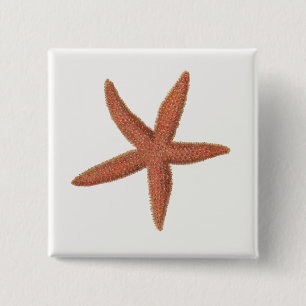 Starfish - Sherman Denton Fish Lithograph Button