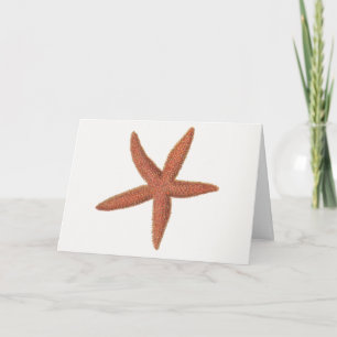 Starfish - Sherman Denton Fish Lithograph Karte