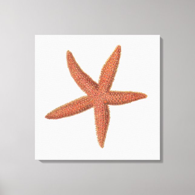 Starfish - Sherman Denton Fish Lithograph Leinwanddruck (Vorderseite)