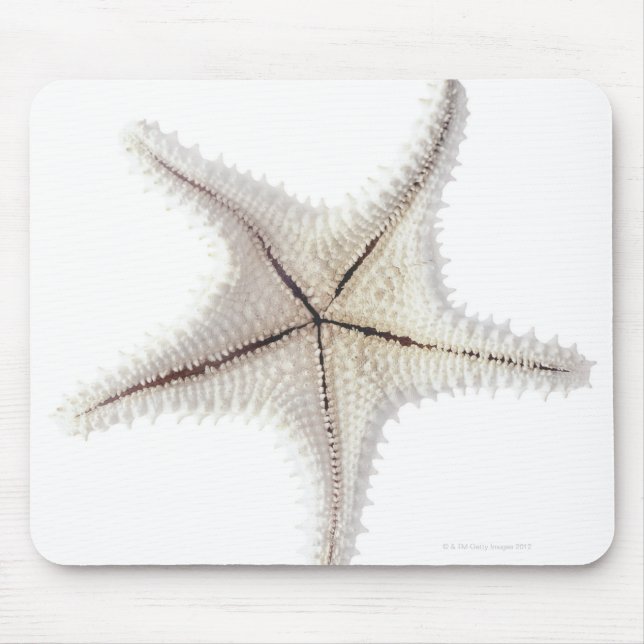 Starfish-Skelett, nah-up Mousepad (Vorne)
