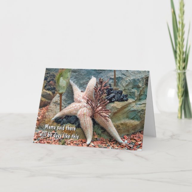 Starfish Spaß zum Nachdenken Karte (Vorderseite)