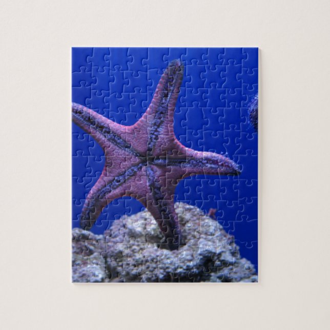 Starfish, Stern hell! Puzzle (Vertikal)